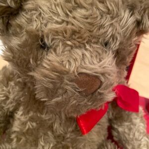 ‘ Build a Bear’ Curly  retired Brown Teddy Bear with Red Bow 15” Soft clean